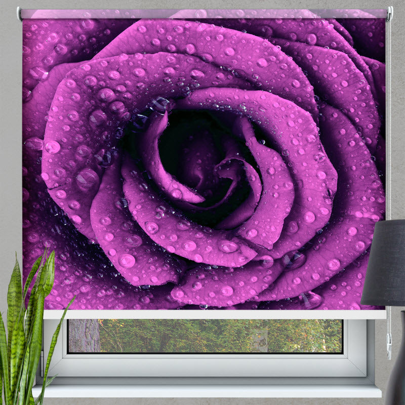 Rollo mit Motiv: Lila Rose