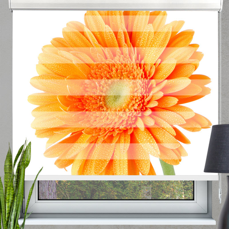 Doppelrollo mit Motiv: Orangene Gerbera