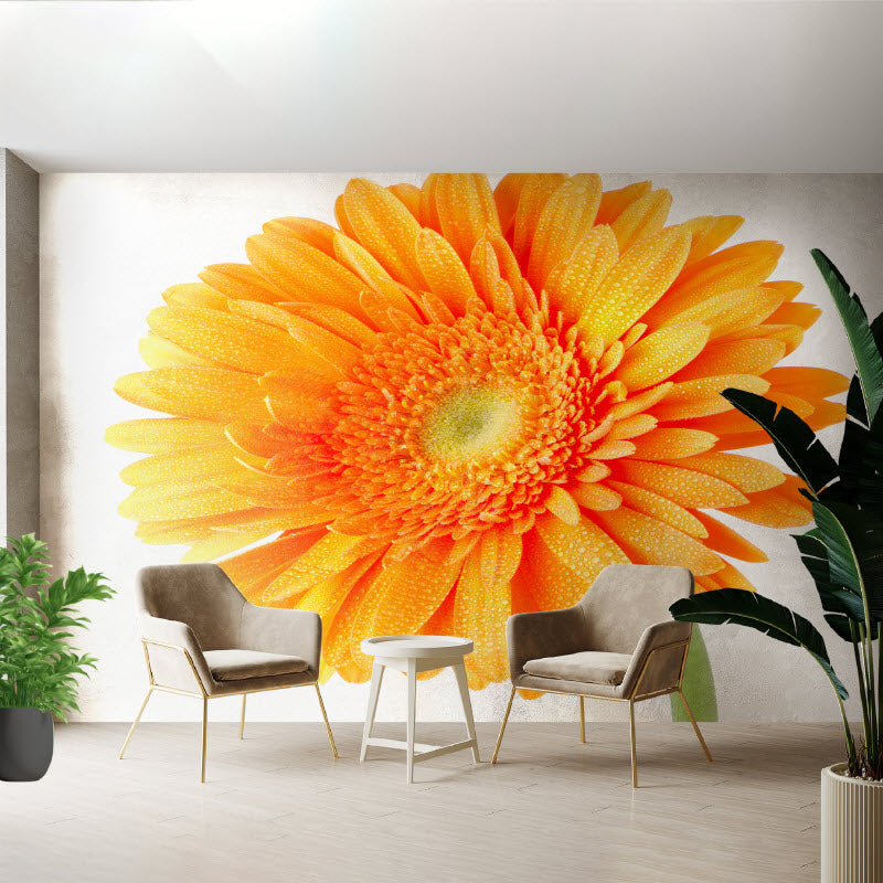 Tapete mit Motiv: Orangene Gerbera