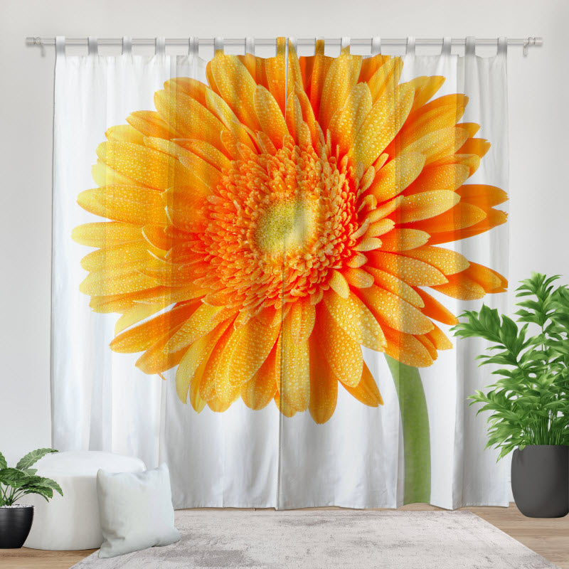 Fotovorhang: Orangene Gerbera