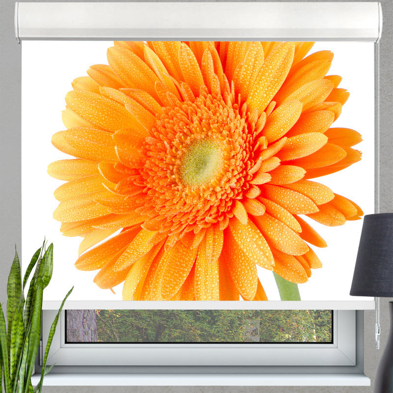 Kassettenrollo mit Motiv: Orangene Gerbera