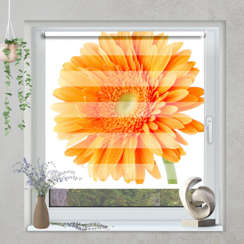 Klemmfix Doppelrollo mit Motiv: Orangene Gerbera