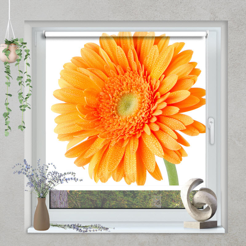 Klemmfix Rollo mit Motiv: Orangene Gerbera