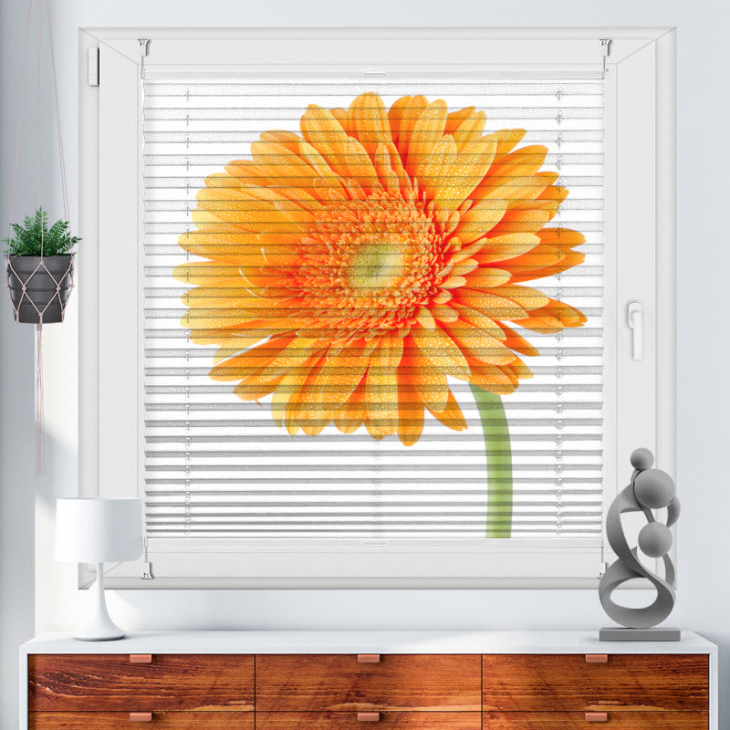 Plissee mit Motiv: Orangene Gerbera