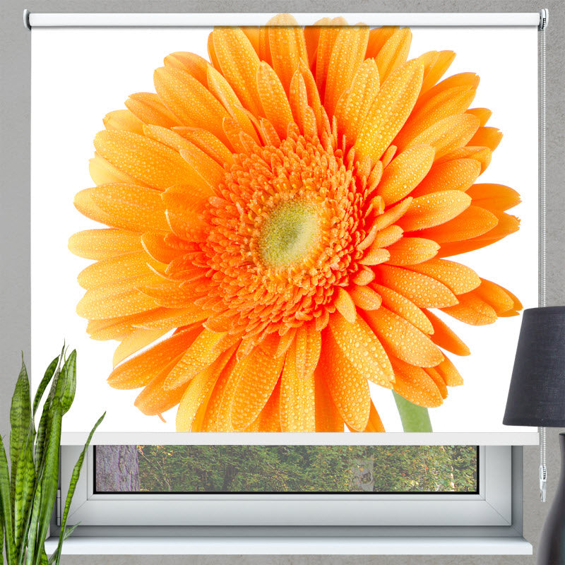 Rollo mit Motiv: Orangene Gerbera