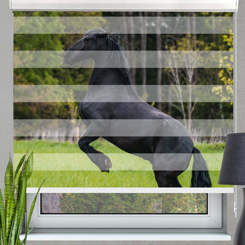 Doppelrollo mit Motiv: Schwarzes Pferd