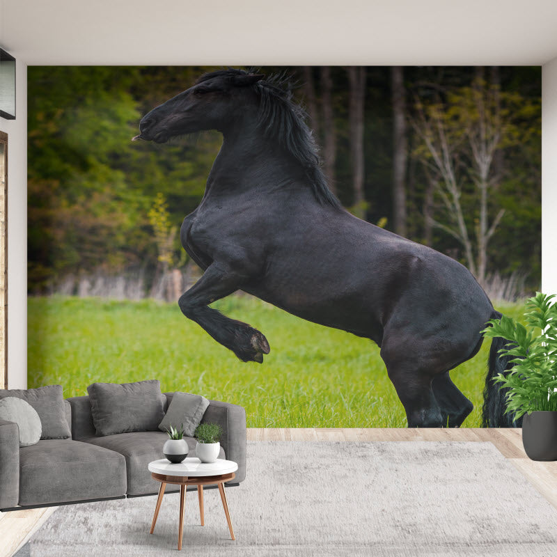 Tapete mit Motiv: Schwarzes Pferd