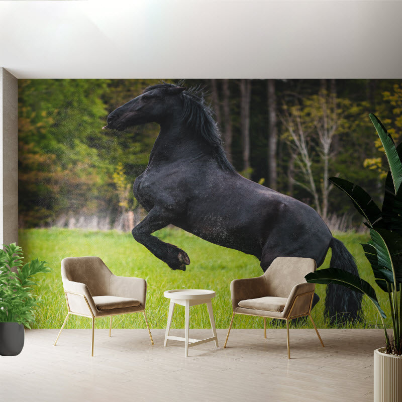 Tapete mit Motiv: Schwarzes Pferd