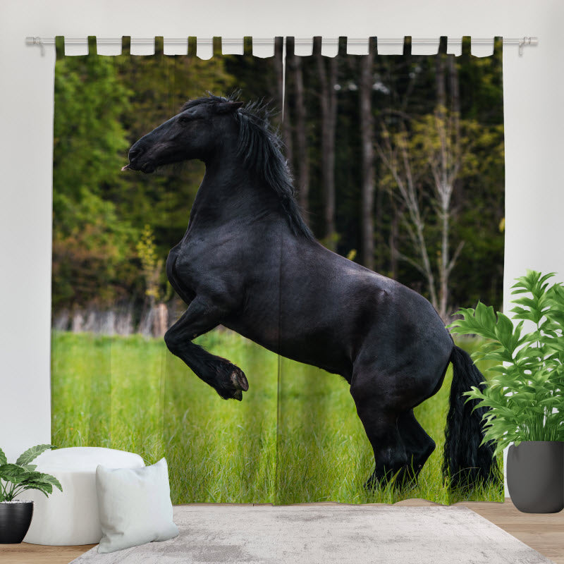 Fotovorhang: Schwarzes Pferd