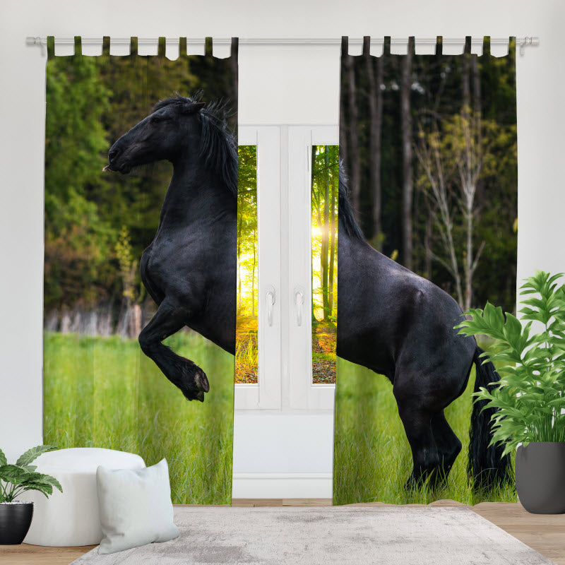 Fotovorhang: Schwarzes Pferd