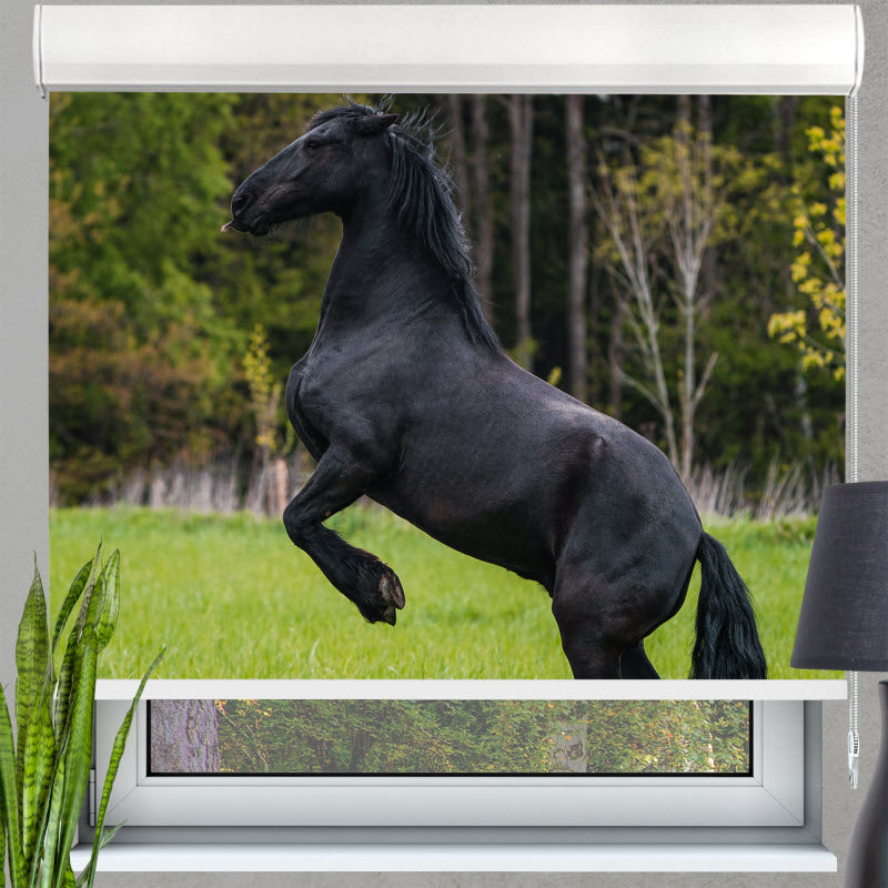 Kassettenrollo mit Motiv: Schwarzes Pferd