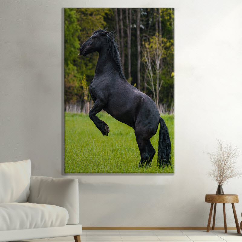 Leinwand mit Motiv: Schwarzes Pferd