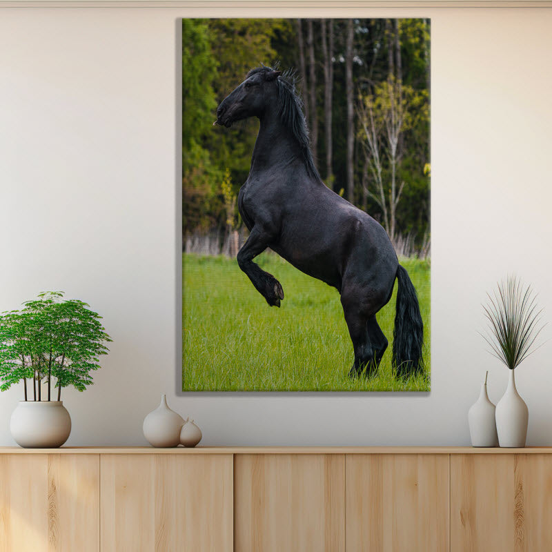 Leinwand mit Motiv: Schwarzes Pferd
