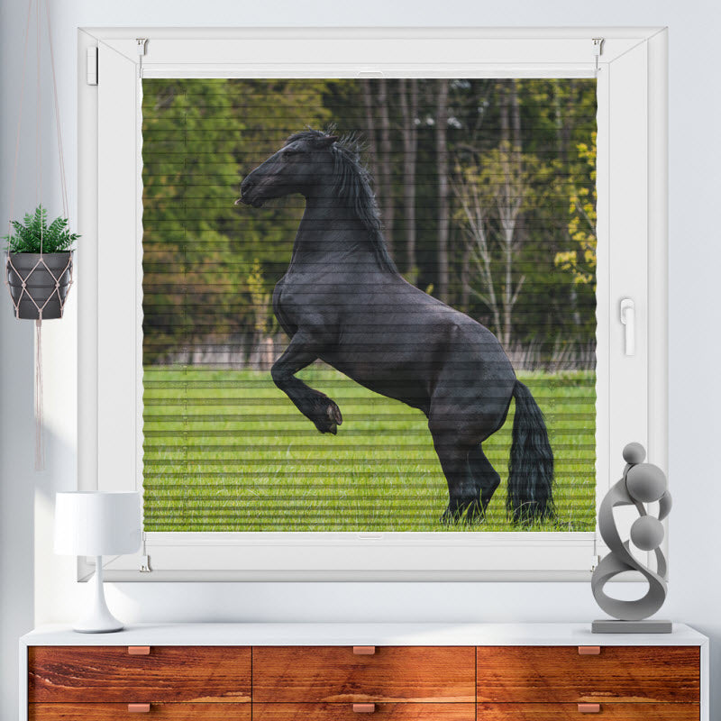 Wabenplissee mit Motiv: Schwarzes Pferd