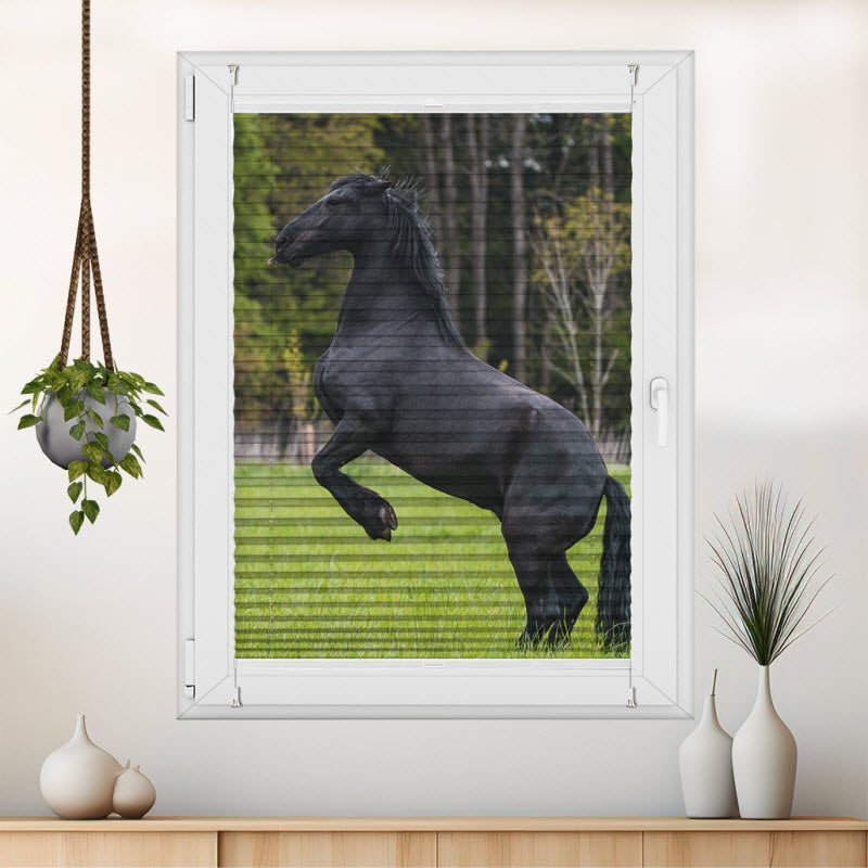 Plissee mit Motiv: Schwarzes Pferd