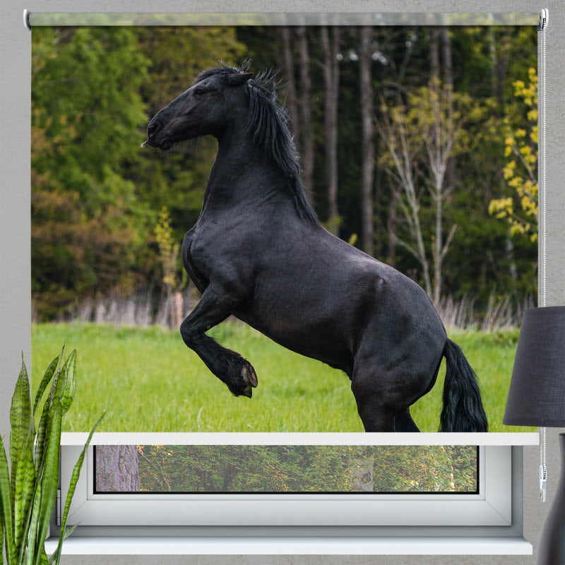 Rollo mit Motiv: Schwarzes Pferd