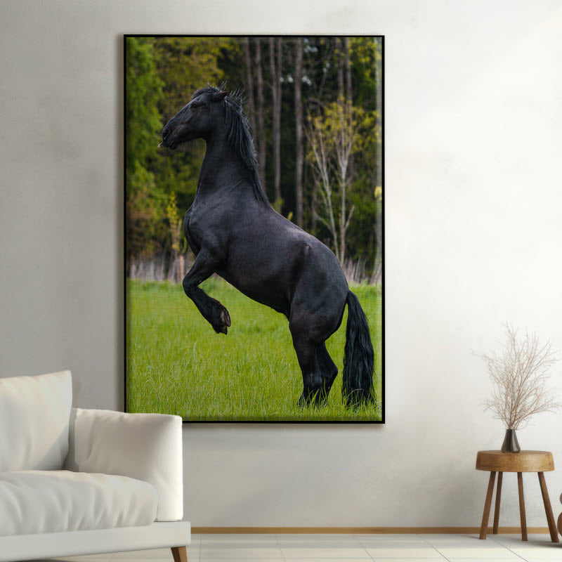 Textilspannrahmen mit Motiv: Schwarzes Pferd