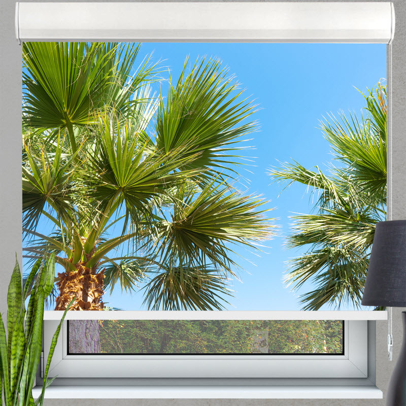 Kassettenrollo mit Motiv: Palmen