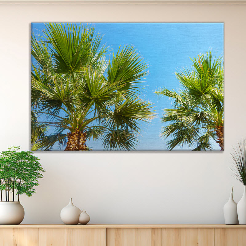 Leinwand mit Motiv: Palmen