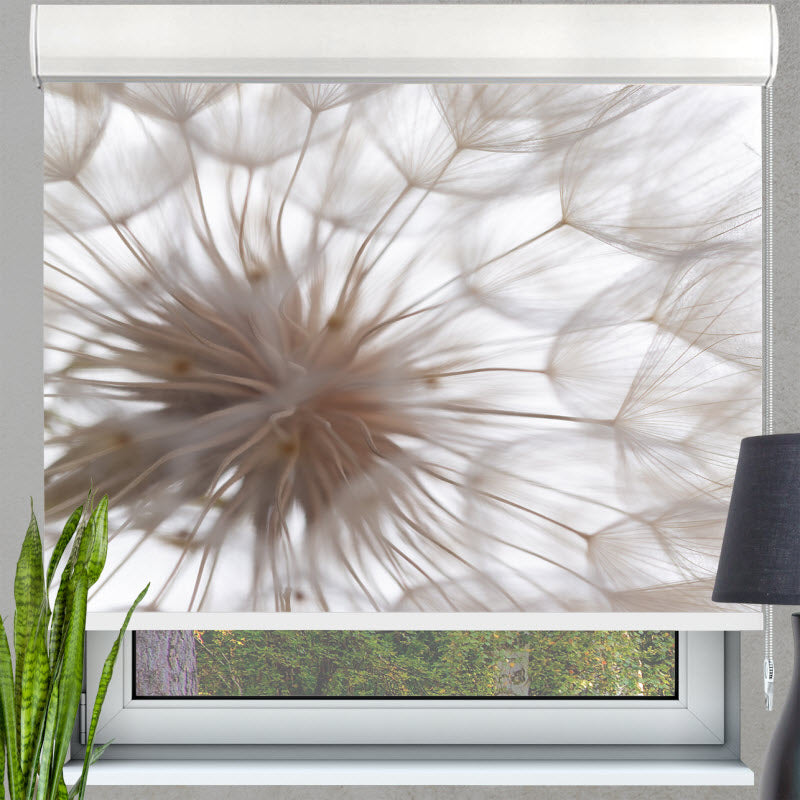 Kassettenrollo mit Motiv: Pusteblume V3