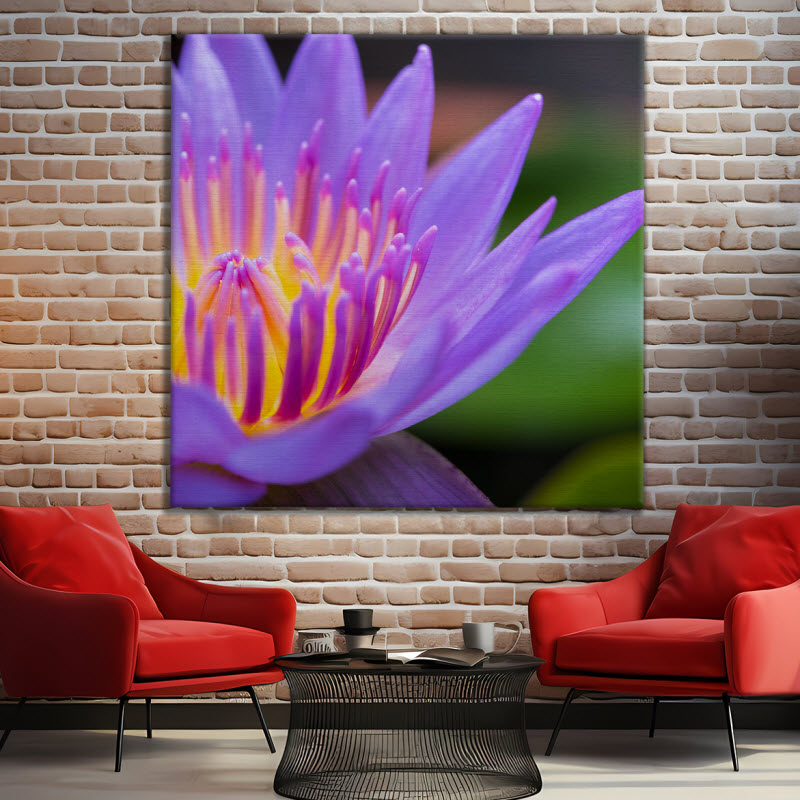 Leinwand mit Motiv: Seerose