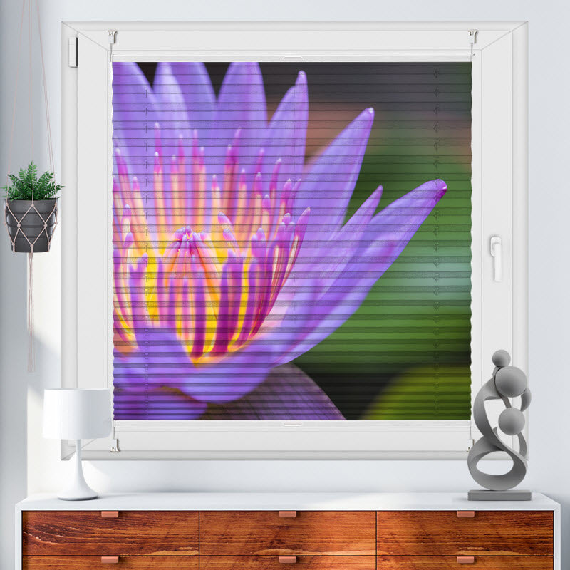 Wabenplissee mit Motiv: Seerose