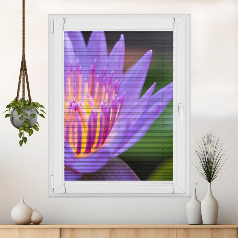 Wabenplissee mit Motiv: Seerose