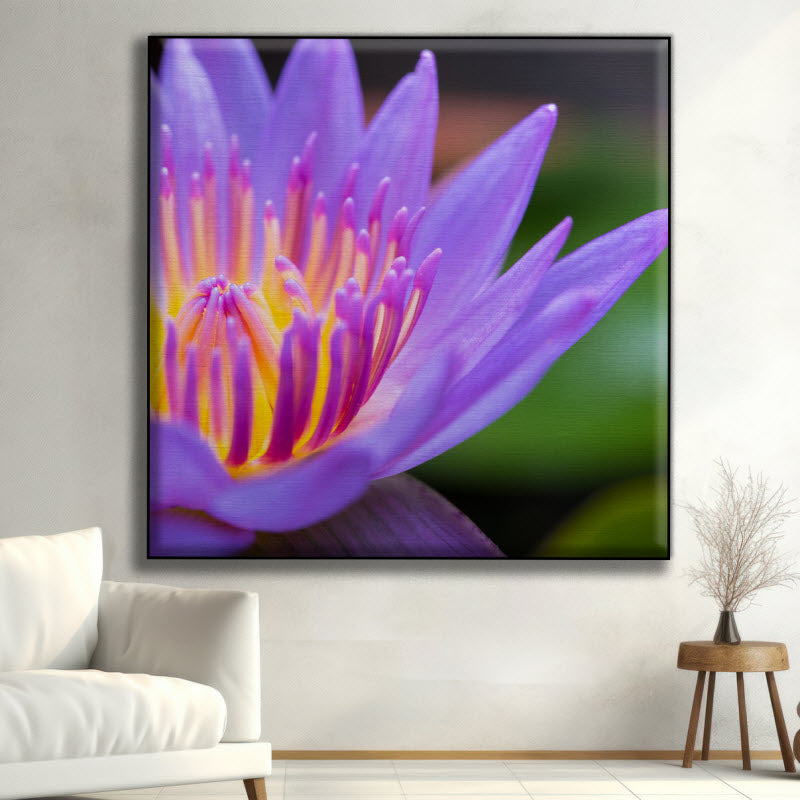 Textilspannrahmen mit Motiv: Seerose