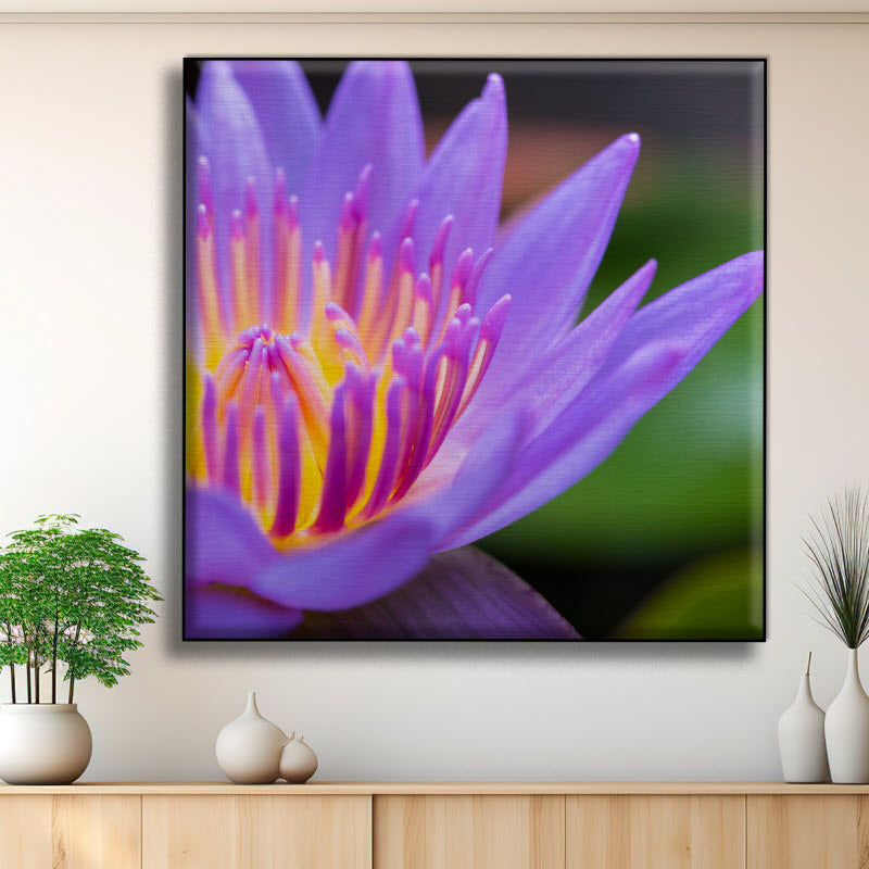 Textilspannrahmen mit Motiv: Seerose