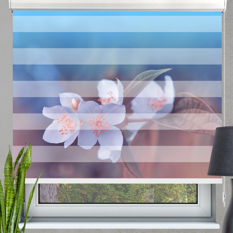 Doppelrollo mit Motiv: Kischblüte