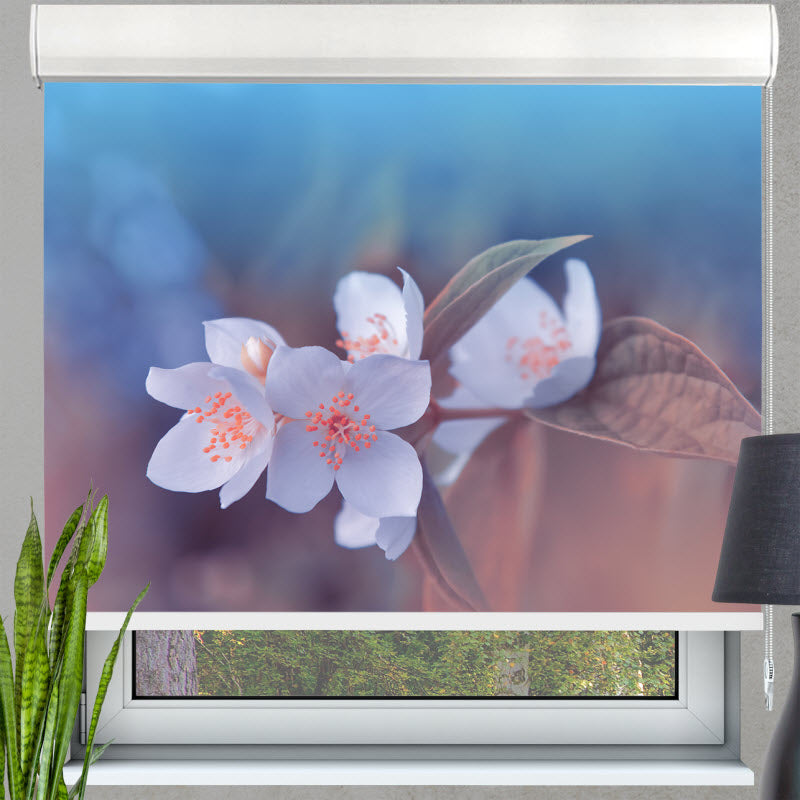 Kassettenrollo mit Motiv: Kischblüte