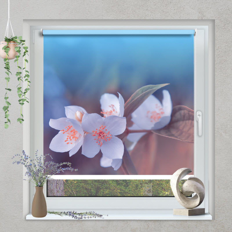 Klemmfix Rollo mit Motiv: Kischblüte