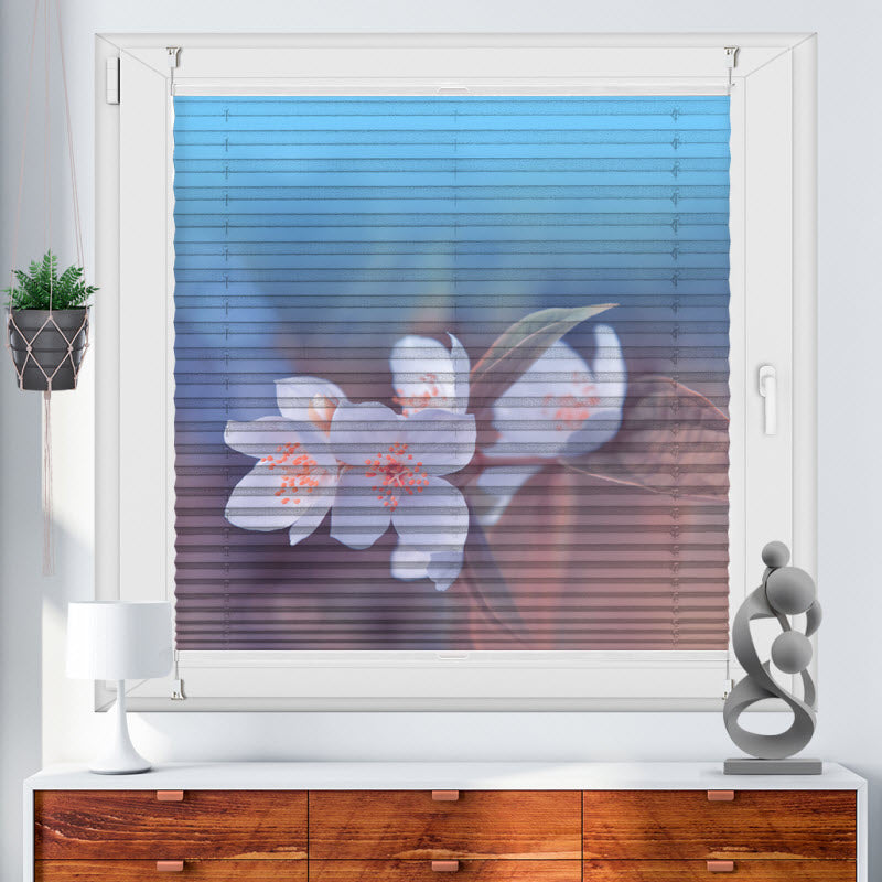 Plissee mit Motiv: Kischblüte