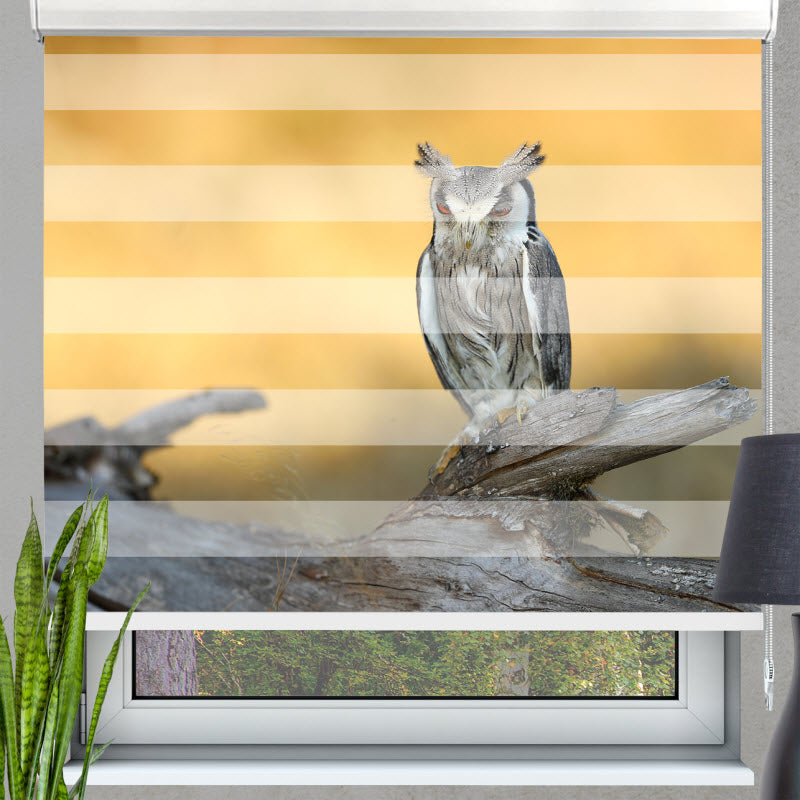 Doppelrollo mit Motiv: Die Eule