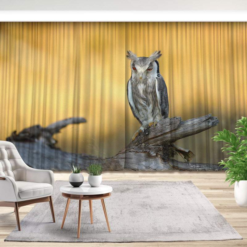 Fotovorhang: Die Eule