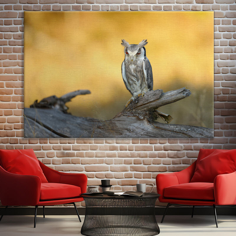 Leinwand mit Motiv: Die Eule