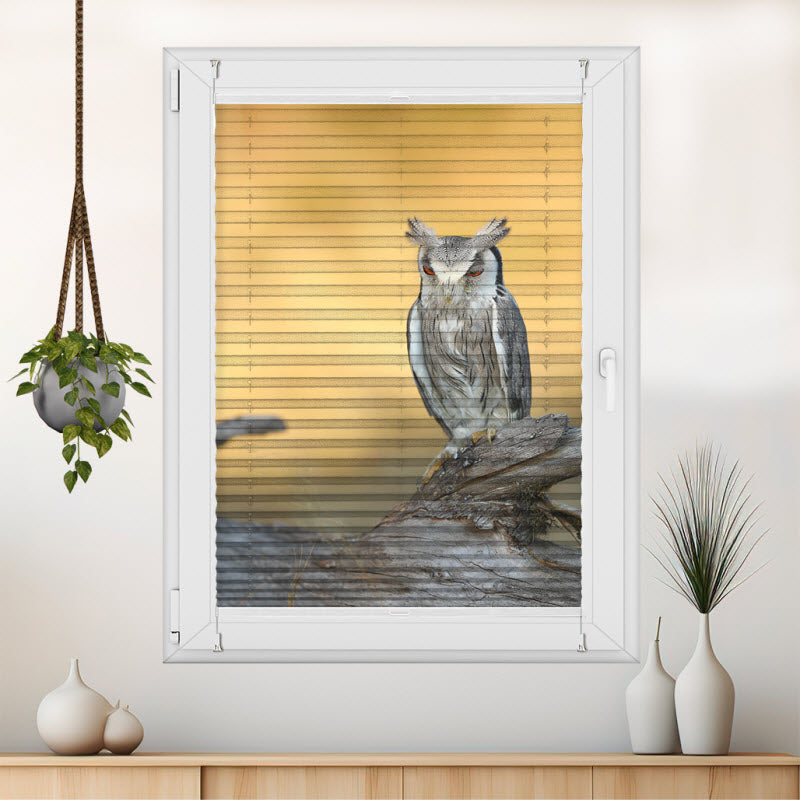 Wabenplissee mit Motiv: Die Eule