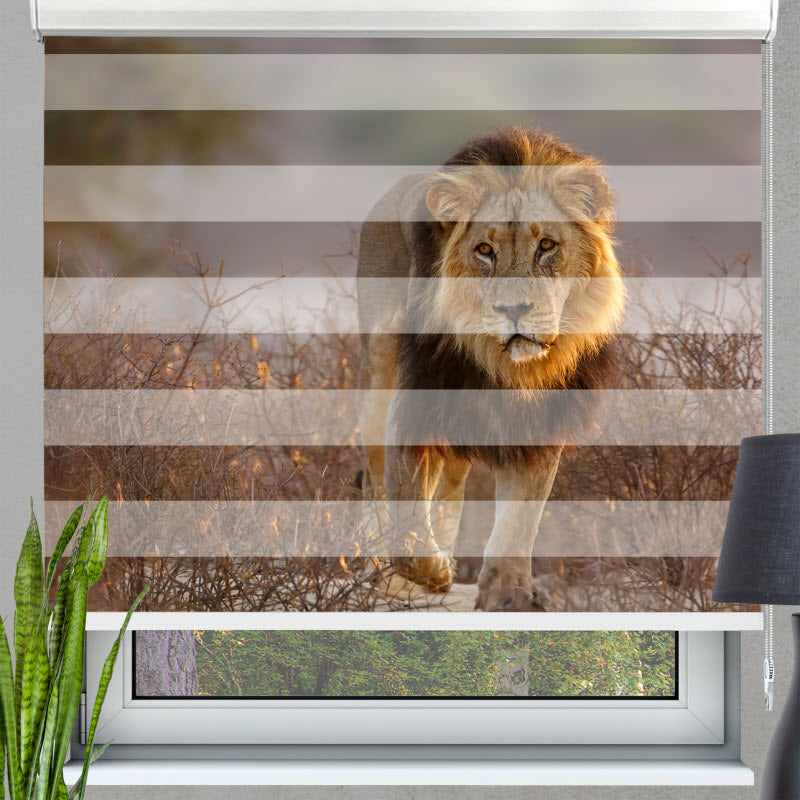 Doppelrollo mit Motiv: Löwe