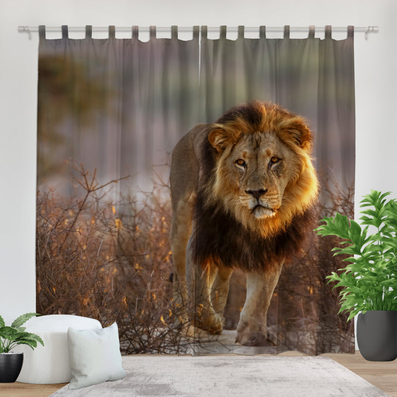 Fotovorhang: Löwe