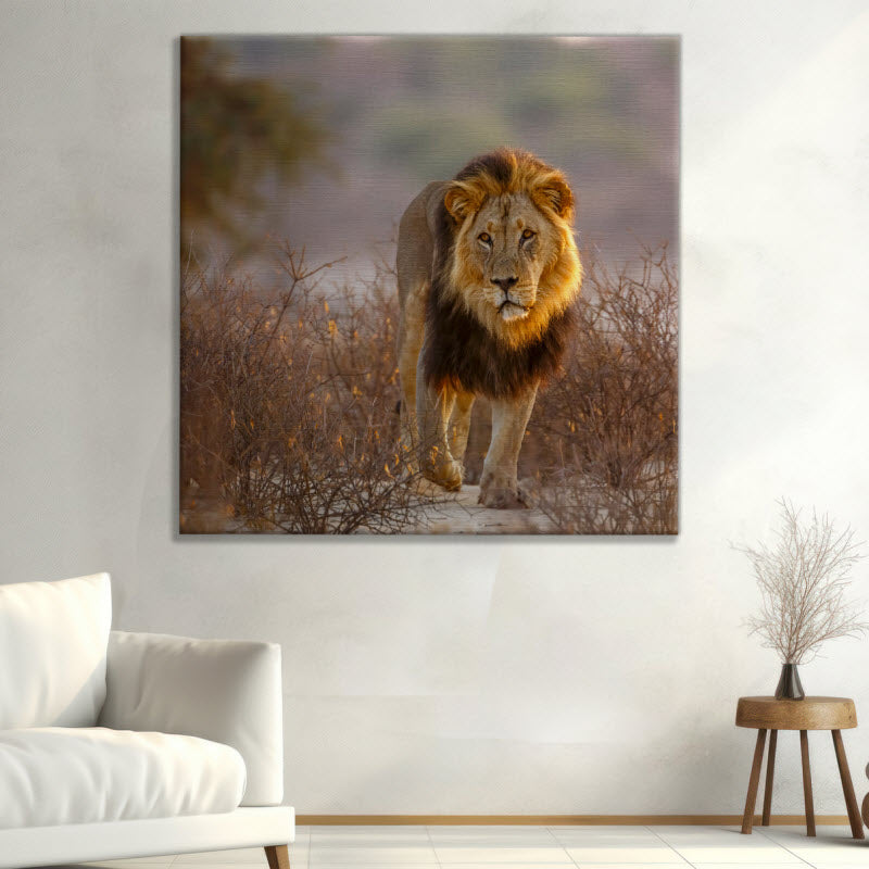 Leinwand mit Motiv: Löwe