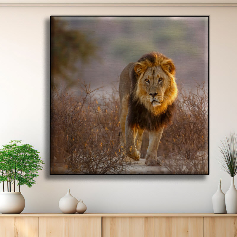 Textilspannrahmen mit Motiv: Löwe