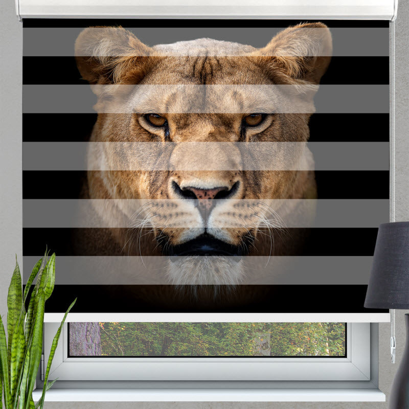 Doppelrollo mit Motiv: Löwin