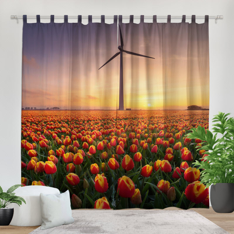 Fotovorhang: Tulpen