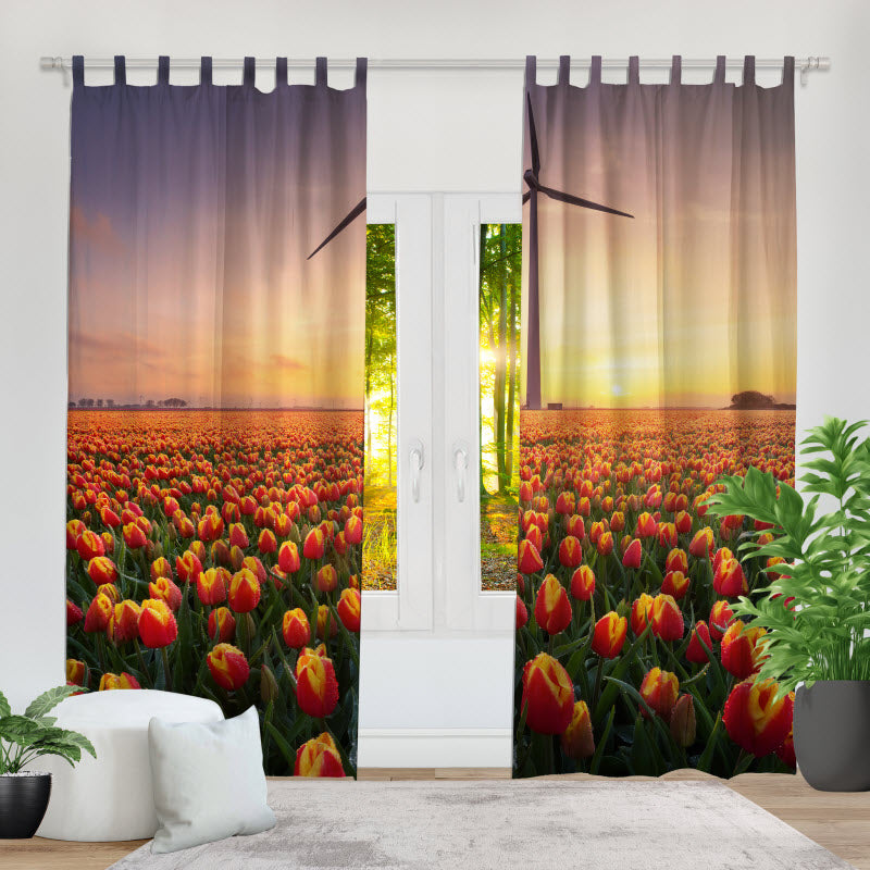 Fotovorhang: Tulpen