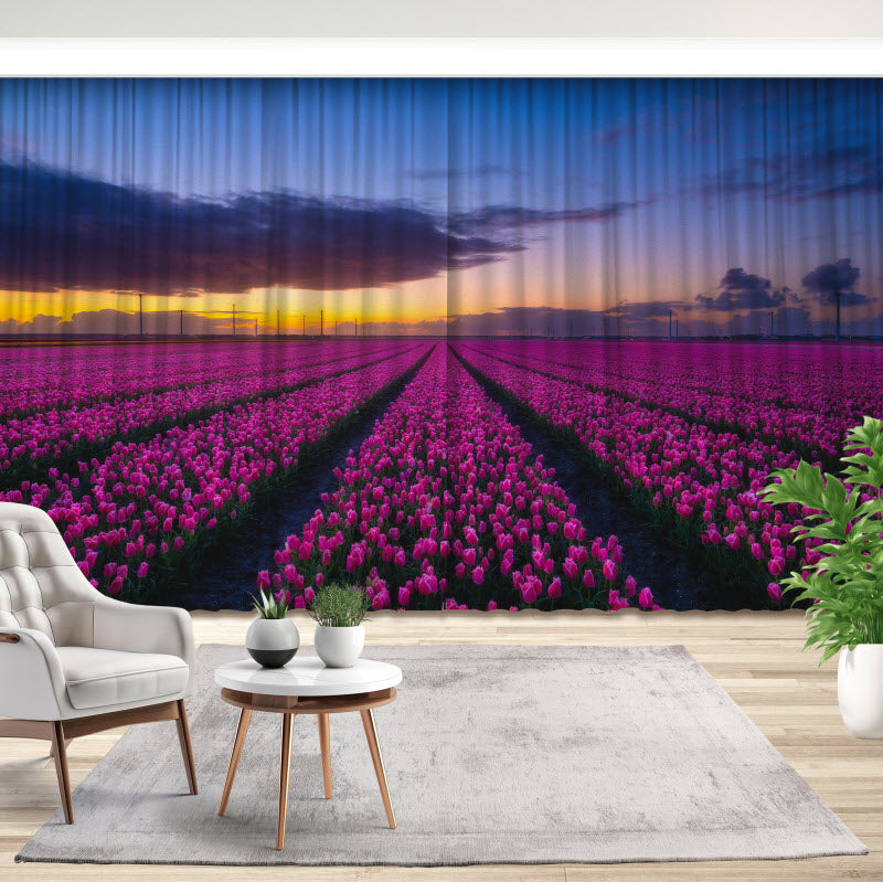 Fotovorhang: Lila Tulpenfeld