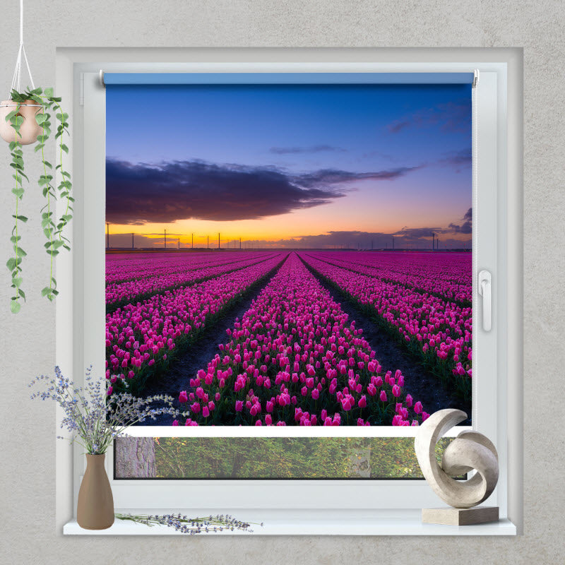 Klemmfix Rollo mit Motiv: Lila Tulpenfeld