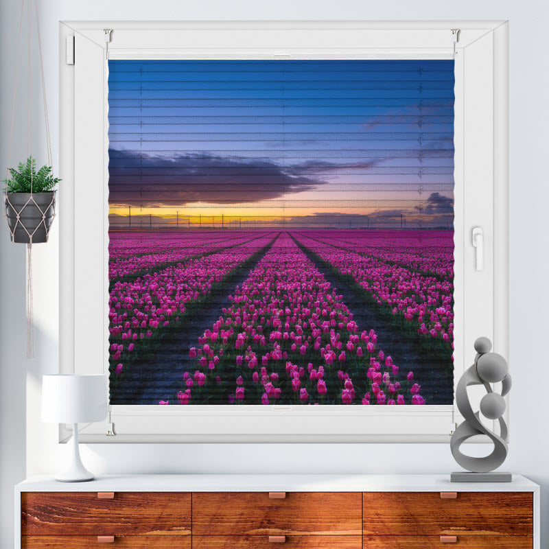 Wabenplissee mit Motiv: Lila Tulpenfeld