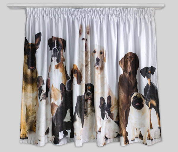 Fotovorhang mit Hunde Motiv 200 cm