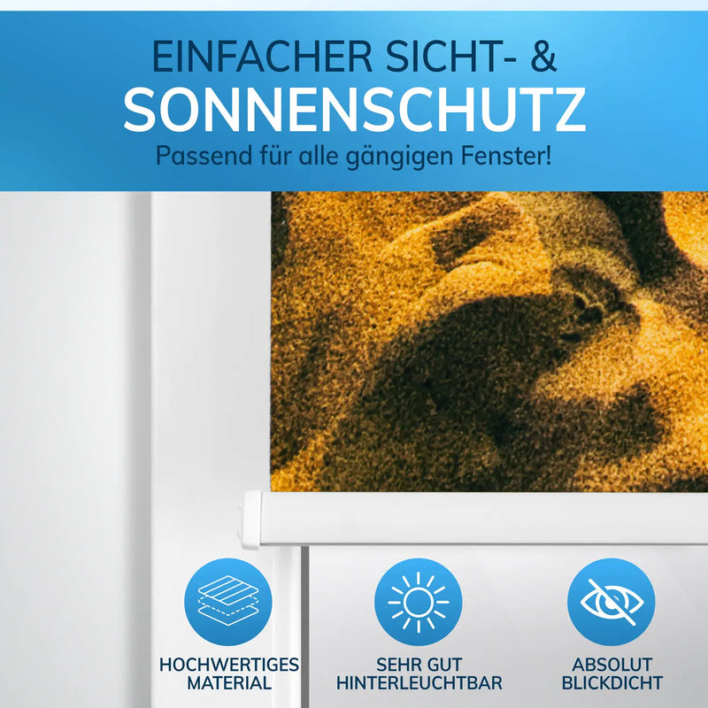 Klemmfix Rollo mit Motiv: Hochwertiges Material, sehr gut Hinterleuchtbar, absolut blickdicht