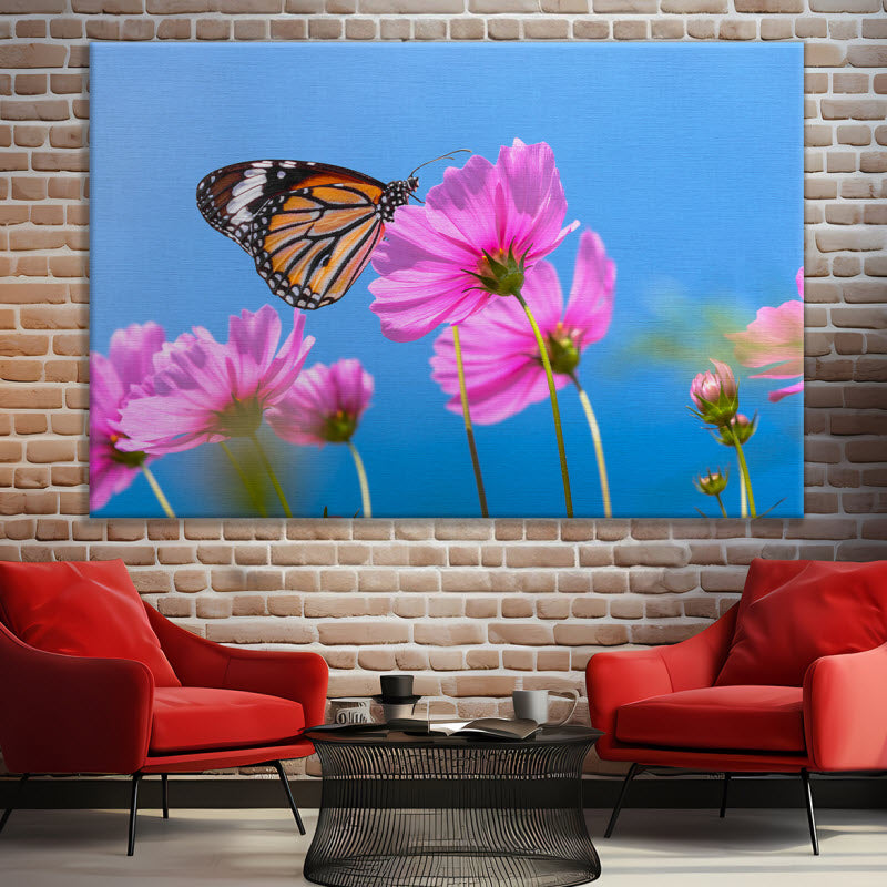 Leinwand mit Motiv: Schmetterling auf Kosmosblume